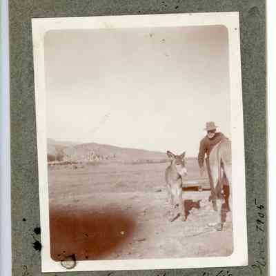 Print, Photographic