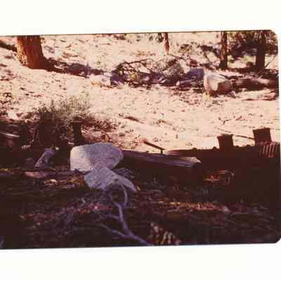 1982.41.2