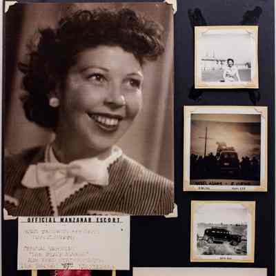 Panel, Display