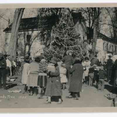 Community Xmas Tree, 1925, Big Pine, Calif.