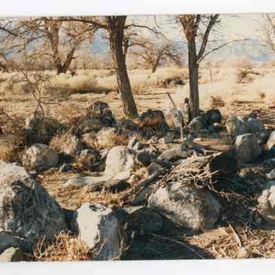 Print, Photographic