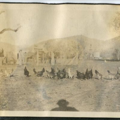 Print, Photographic