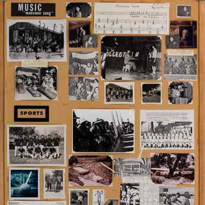 Panel, Display
