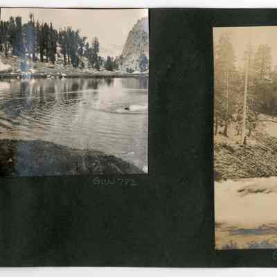 Print, Photographic