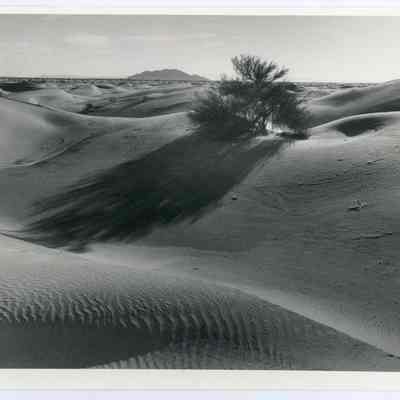 Print, Photographic