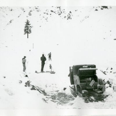 Print, Photographic