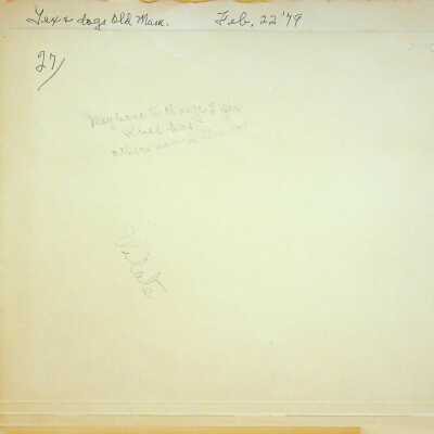 Recollection of Dog Sled Days in Old Mammoth