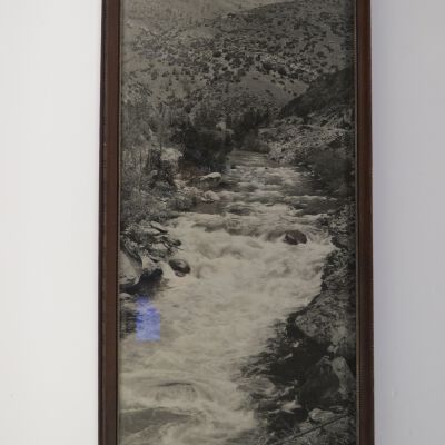 Print, Photographic