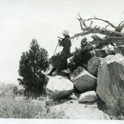 Print, Photographic