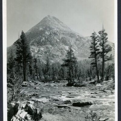 Print, Photographic