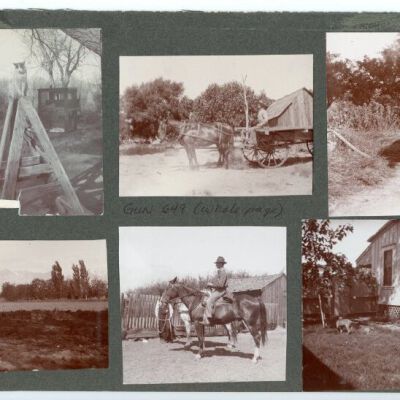 Print, Photographic