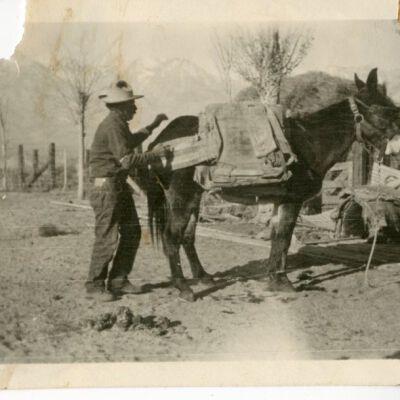 Print, Photographic