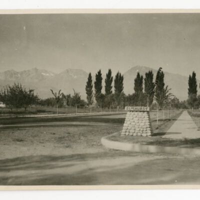 Print, Photographic
