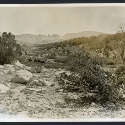 Print, Photographic