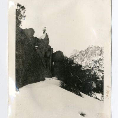 Print, Photographic