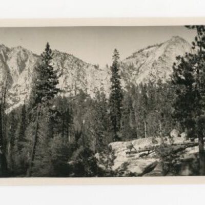 Print, Photographic