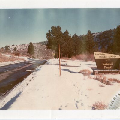 Print, Photographic