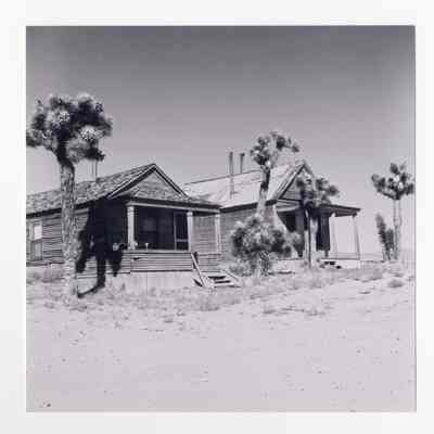 Print, Photographic