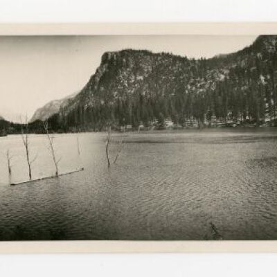 Print, Photographic
