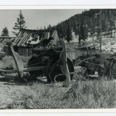Print, Photographic