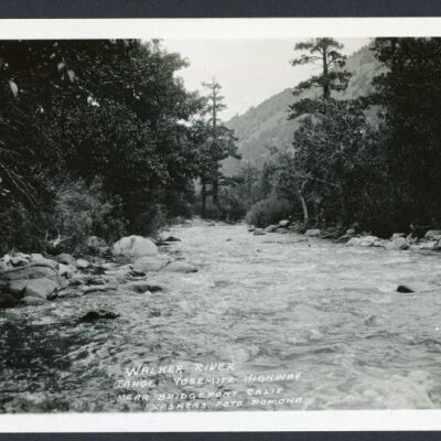 Print, Photographic