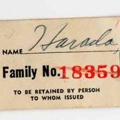 Tag, Identification