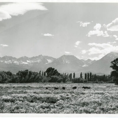Print, Photographic