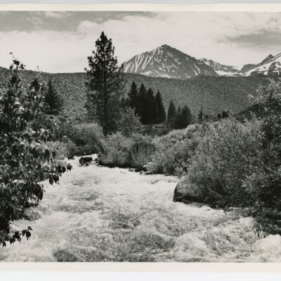 Print, Photographic