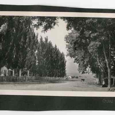 Print, Photographic