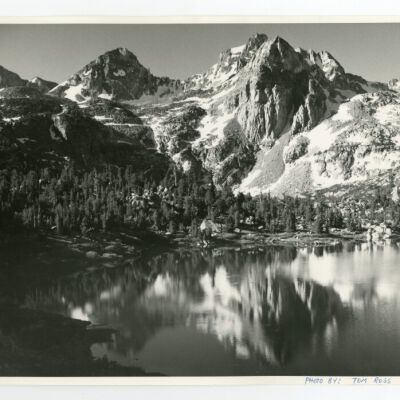 Print, Photographic