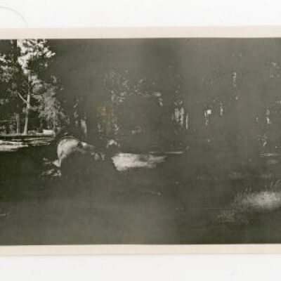 Print, Photographic