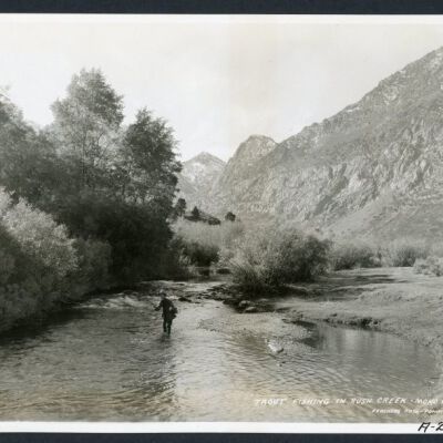 Print, Photographic