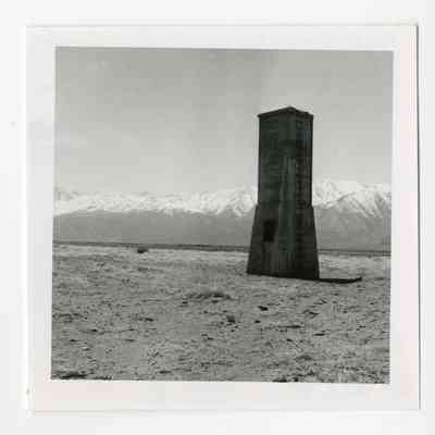 Print, Photographic