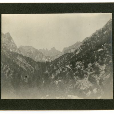 Print, Photographic