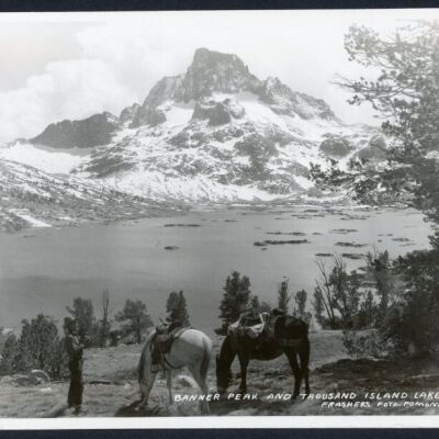 Print, Photographic