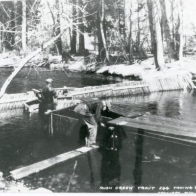 Rush Creek Trout Egg Taking Station