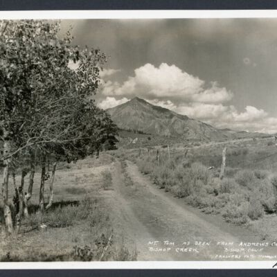 Print, Photographic