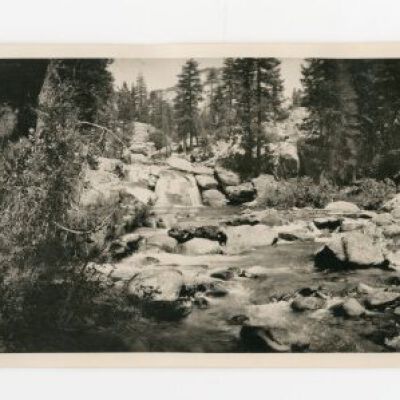 Print, Photographic