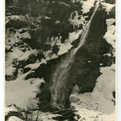 Print, Photographic
