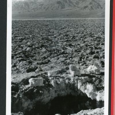 Print, Photographic