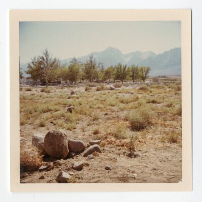 Print, Photographic