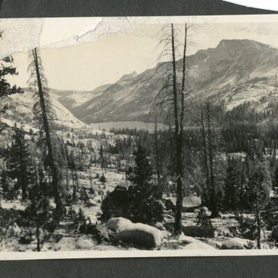 Print, Photographic