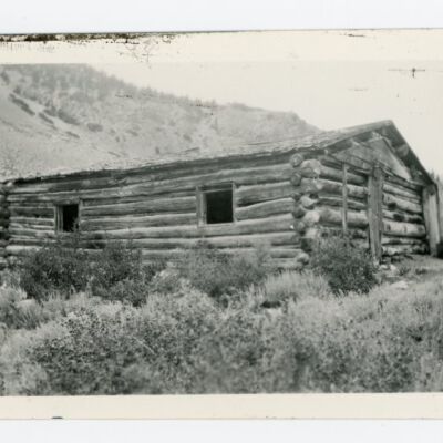 Print, Photographic