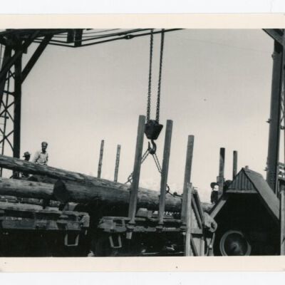 Print, Photographic