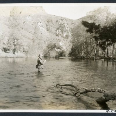 Print, Photographic