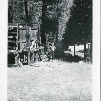 Print, Photographic