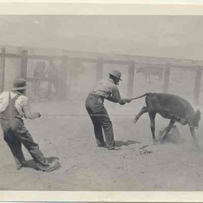 Print, Photographic