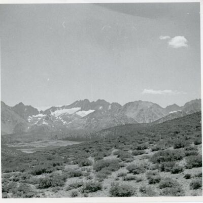 Print, Photographic