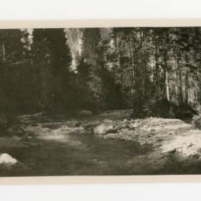 Print, Photographic