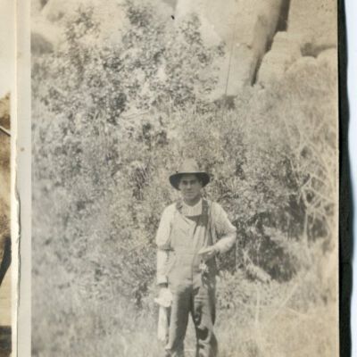 Print, Photographic